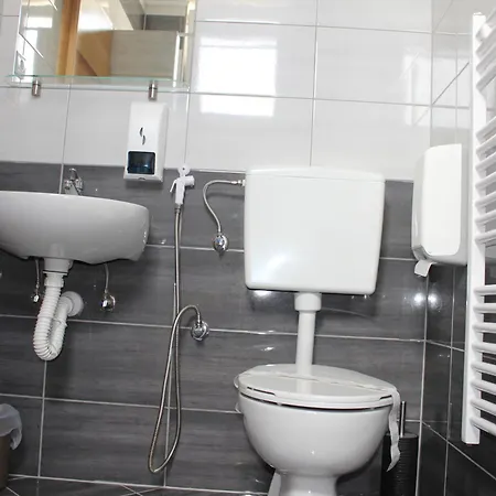 موتيل سوليوفيتش