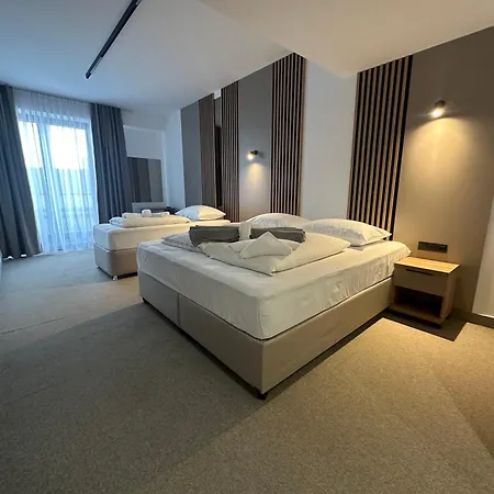 سوليوفيتش إليجا