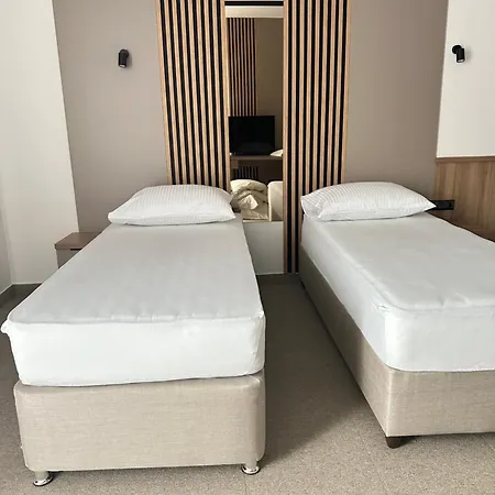 سوليوفيتش 3* إليجا